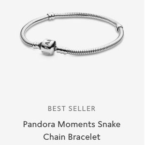 Pandora moments snake chain bracelet